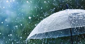 Flushing Smarter: How Using Rainwater in Toilets Can Save Water and Money