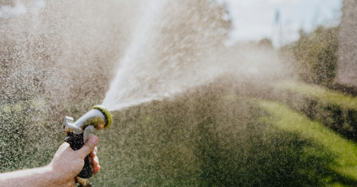 July Heatwaves & Hosepipe Bans: How to Protect Your Household Water Budget